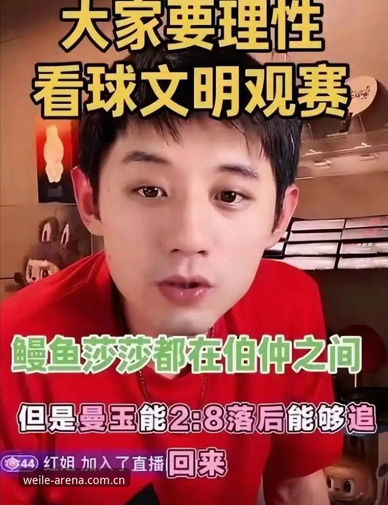 微乐积分查询 世界杯观赛遇冷深度评测:签证困局与微乐平台上的另类观赛体验